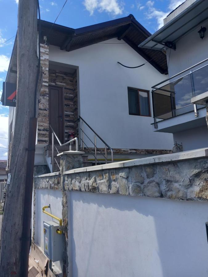 Vila Davison Targu Jiu Exterior photo